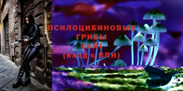 Альфа ПВП Куйбышев