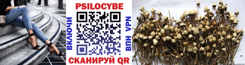 Псилоцибиновые грибы мухоморы  Купить закладки  Ершов 