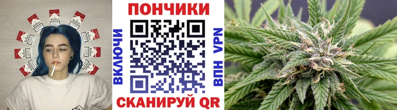 Бошки марихуана индика  Купить где  Ершов 